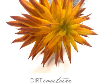 Orange succulent, artificial, spike, sedum spike