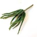Crassula, Jade, Necklace vine, worm succulent, faux succulent, artificial succulent, 7-inch succulent, indoor plants, house plant terrarium