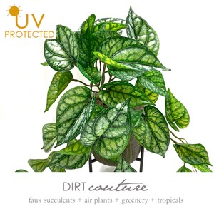May include: Artificial plant with green and silver leaves in a gray pot. The plant is labeled "UV PROTECTED" and "DIRT couture faux succulents + air plants + greenery + tropicals".