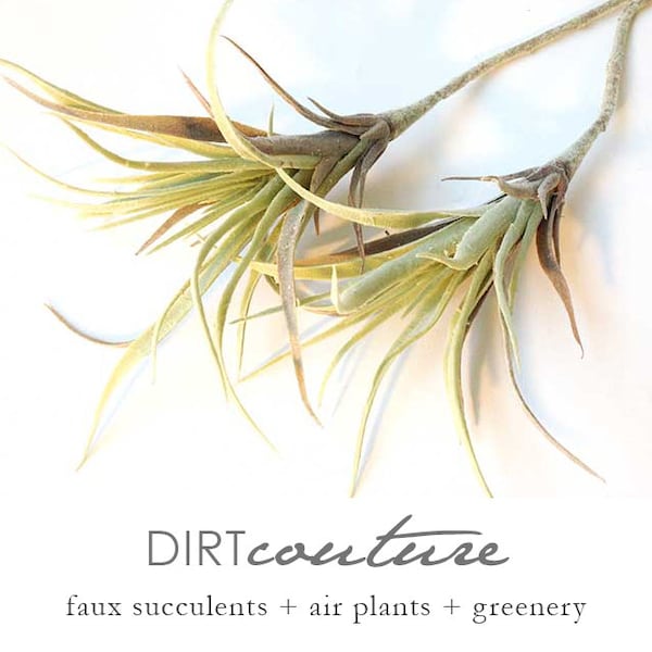 Air plant, air plant terrarium, faux air plant, hanging air plant, gray, tillandsia