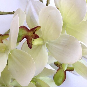 Orchid, faux orchid flower, silk orchid, tropical plant, artificial orchid, phalaenopsis, white orchid image 5