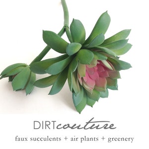 May include: A single stem of faux succulents with green leaves and a pink center. The stem is bent and the leaves are arranged in a cluster. The text "DIRTcouture" and "faux succulents + air plants + greenery" is visible below the plant.