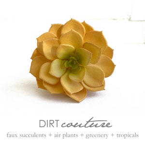 May include: A single faux succulent plant with yellow-orange petals and a green center. The plant is on a white background. DIRT couture faux succulents + air plants + greenery + tropicals