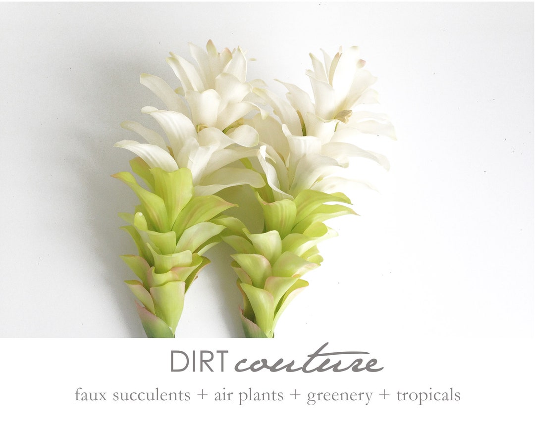 Large White Ginger Artificial Ginger Flower Tropical Decor Etsy