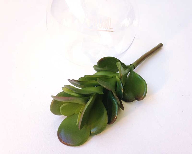 Artificial succulents. Jade plant faux jade plant faux Etsy