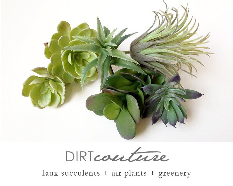 Faux succulents collection, succulent, succulent plants, artificial s…