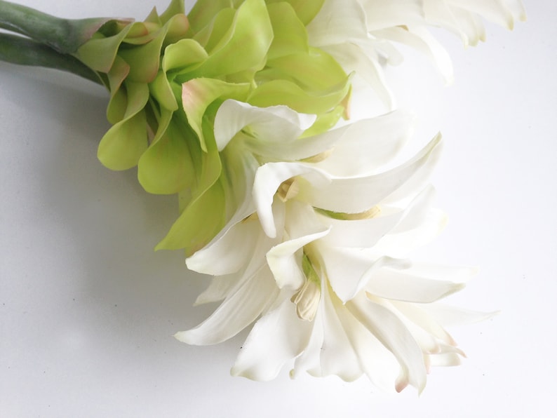 Large white ginger artificial ginger flower tropical decor Etsy