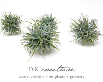 Air plant orbs, faux tillandsia, round, hanging air plant, air plant gift, Tillandsia Ionantha