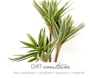 Dracaena, artificial, house plant, patterned plant, tropical plant, Dracena stem