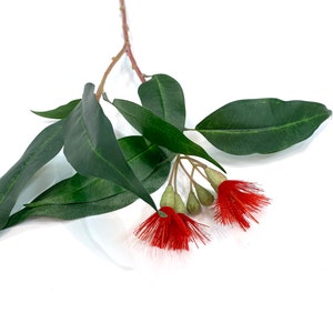 Flowering eucalyptus, faux, eucalyptus spray, eucalyptus leaves, eucalyptus flower, eucalyptus, faux eucalyptus, artificial eucalyptus, red image 7