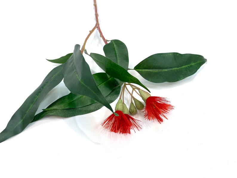 Flowering eucalyptus, faux, eucalyptus spray, eucalyptus leaves, eucalyptus flower, eucalyptus, faux eucalyptus, artificial eucalyptus, red image 7