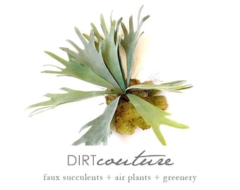 Faux Staghorn Fern, Realistic Artificial Air Plant