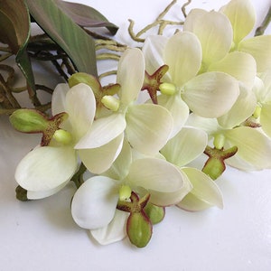 Orchid, faux orchid flower, silk orchid, tropical plant, artificial orchid, phalaenopsis, white orchid image 2