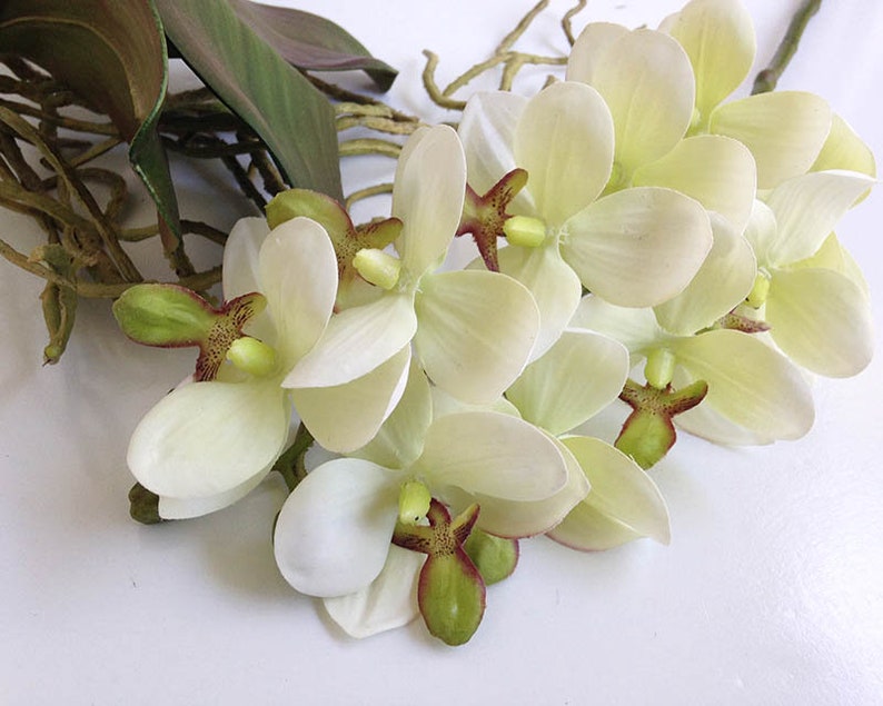 Orchid, faux orchid flower, silk orchid, tropical plant, artificial orchid, phalaenopsis, white orchid image 2