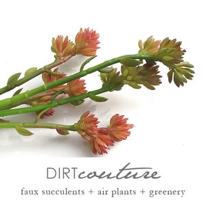 Fake succulent, sedum, succulent fill, stonecrop, artificial succulent, faux succulent, sedum reflexum