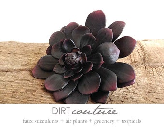 Aeonium, black, faux Purple succulent plant, artificial, echeveria, faux succulent, eggplant purple