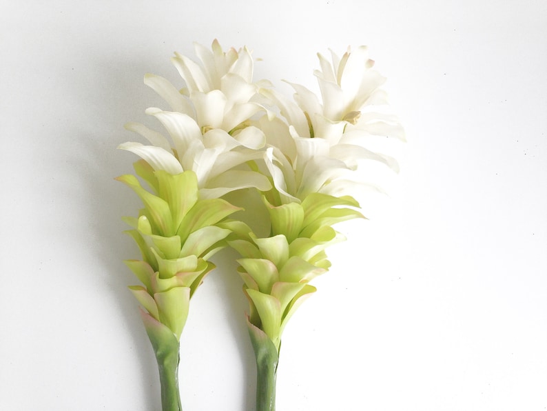 Large White Ginger Artificial Ginger Flower Tropical Decor Etsy