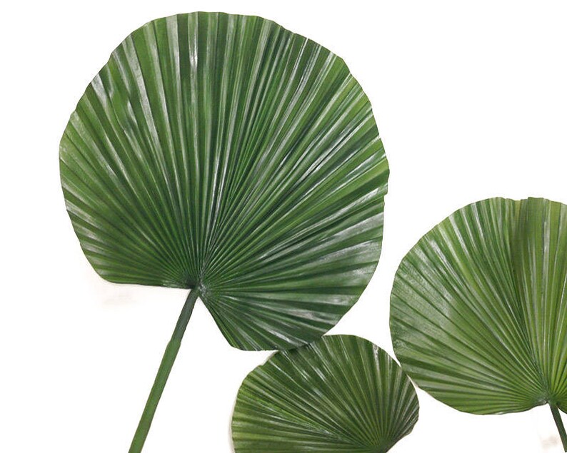 Fan palm faux palm leaves artificial tropical plant palm Etsy