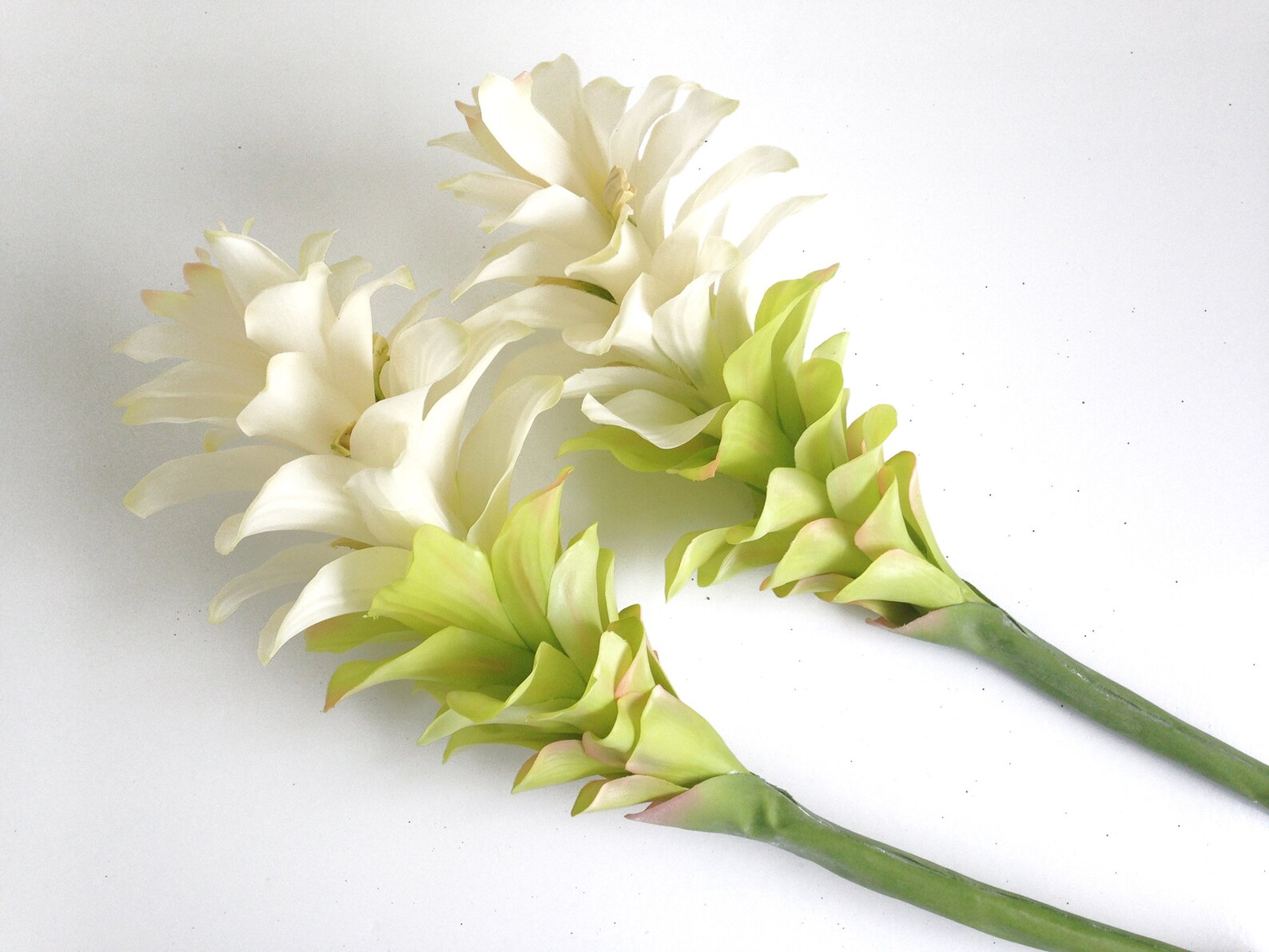 Large White Ginger Artificial Ginger Flower Tropical Decor Etsy