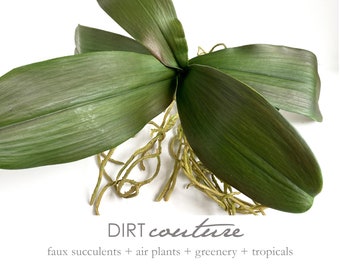 Large Faux Orchid Plant with Roots & Leaves, 23-Inch