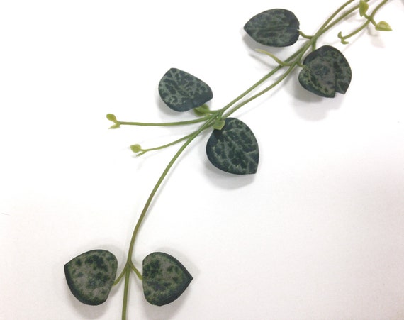 Faux Variegated String of Hearts Vine, 27.5-inch Ceropegia Woodii