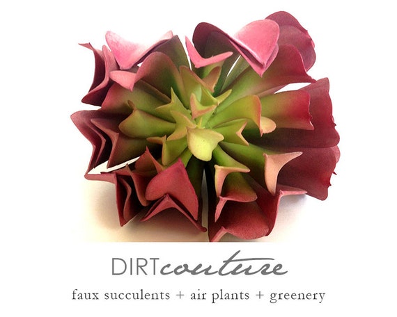 artificial succulent red aeonium