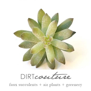 Artificial Succulents, faux succulent, frosted echeveria, succulent cutting