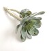Gray succulent, artificial succulents, gray aeonium with stem, two succulent sprays, light grey