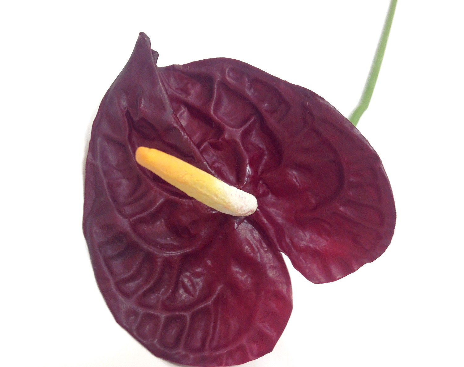 Small Anthurium Tropical Flower Burgundy Anthurium - Etsy