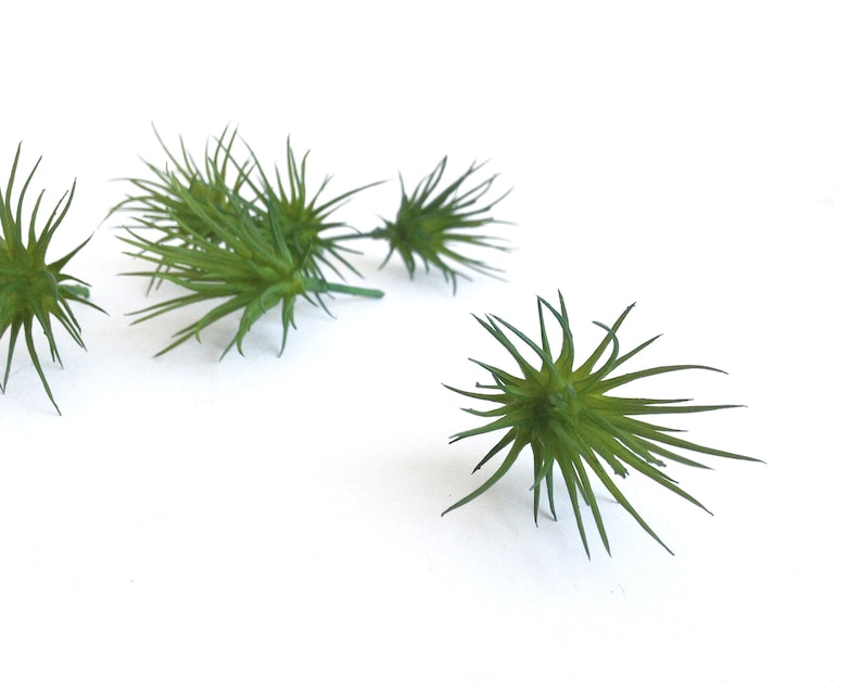 6 PCS. Mini Faux Air Plants Artificial Air Plant Tillandsia Etsy