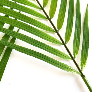 3 Palm Stems, artificial tropical plant, palm leaf image 8