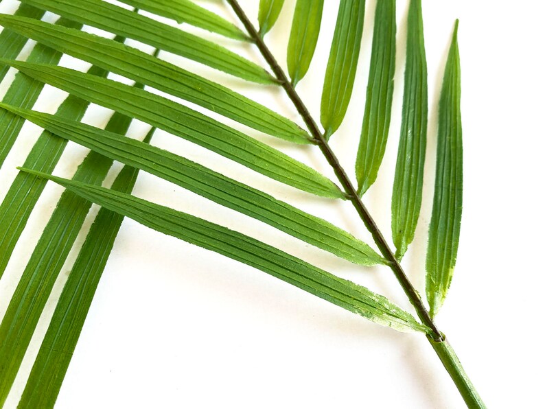 3 Palm Stems, artificial tropical plant, palm leaf image 8