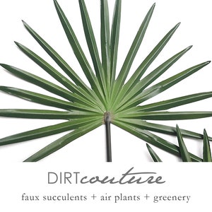May include: A close-up of a large, green, fan-shaped leaf with a white background. The text "DIRTcouture" is below the leaf, along with the phrase "faux succulents + air plants + greenery".