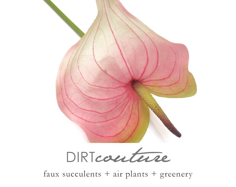 Silk flower floral arrangements tropical Hawaiian flowers 25/" Anthurium stem