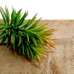 May include: A single stem of artificial succulent with green and red leaves. The succulent is lying on a brown wooden surface.
