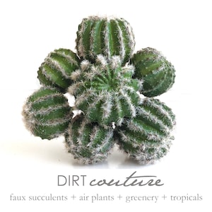 Green barrel cactus, Cactus plant, faux cactus, artificial cactus, small barrel cactus, golden barrel