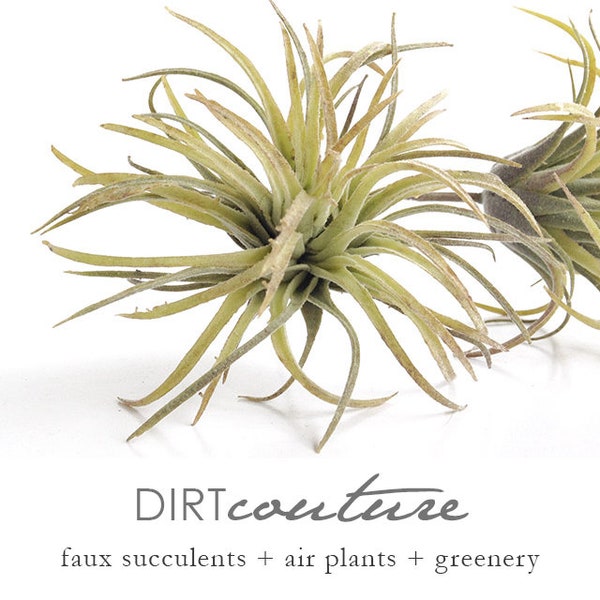 Faux Air plant, faux Ionantha, air plant, hanging air plant, tillandsia, small airplant, Tillandsia Ionantha