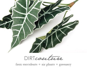 Alocasia, patterned plants, tropical leaf, tropical foliage, faux Elephant Ear plant