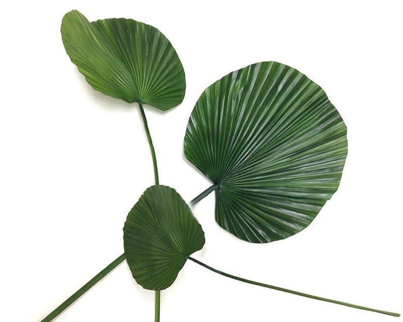 Fan palm faux palm leaves artificial tropical plant palm Etsy