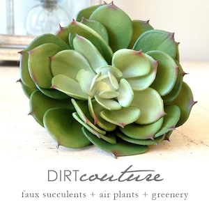 Succulent plant, faux succulent, green echeveria, succulent cutting, succulent planter