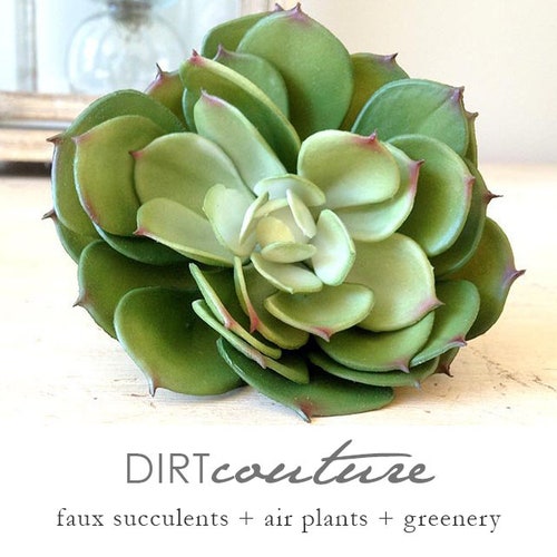 Succulent plant, faux succulent, green echeveria, succulent cutting, succulent planter