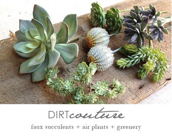 Grande collection de plantes succulentes, artificielles, plantes succulentes, arrangement succulent, arrangement de cactus