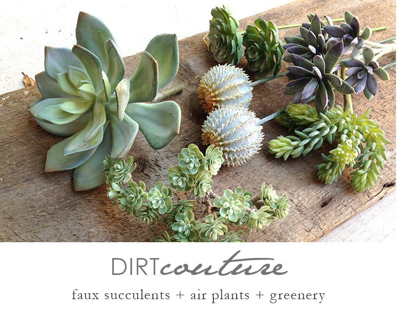 Fake Succulents in Containers - Etsy
