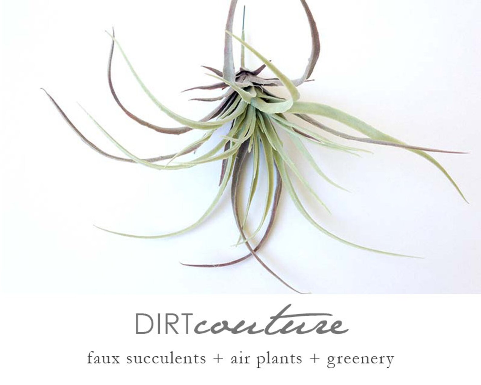 Tillandsia Faux Air Plant Faux Stricta Large Air Plant Etsy