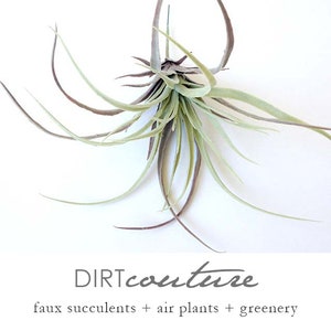 Tillandsia, faux air plant, faux Stricta, large air plant, soft, air plant, hanging air plant