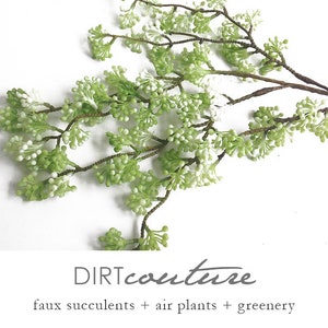 Green sedum, seeds, hanging plant, faux succulent, stonecrop, artificial succulent, fake succulent, sedum reflexum, sedum, tetractinum