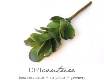 Artificial succulents. Jade plant, faux jade plant, faux succulents, succulent terrarium