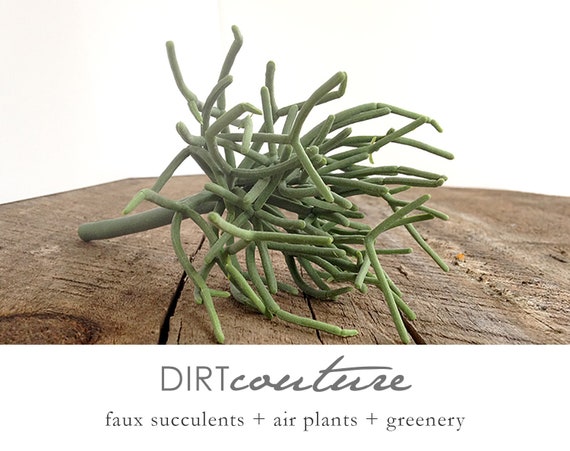 Faux Fire Stick Pencil Cactus, Artificial Succulent - Etsy