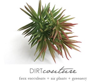 Crassula succulent, fake succulent, crassula tetragona, faux succulent, spiky succulent