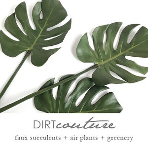 Split leaf philodendron, monstera, tropical leaf, artificial tropical plant, small monstera plant